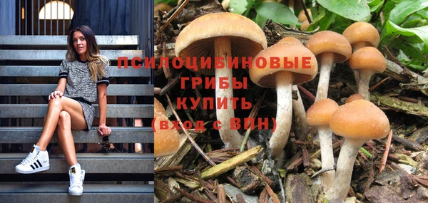 apvp Медвежьегорск