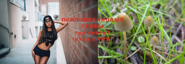 apvp Медвежьегорск