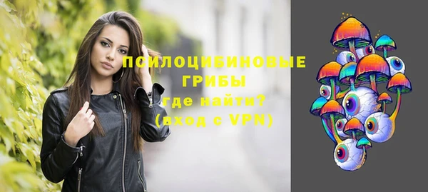 apvp Медвежьегорск