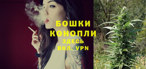 стафф Медногорск
