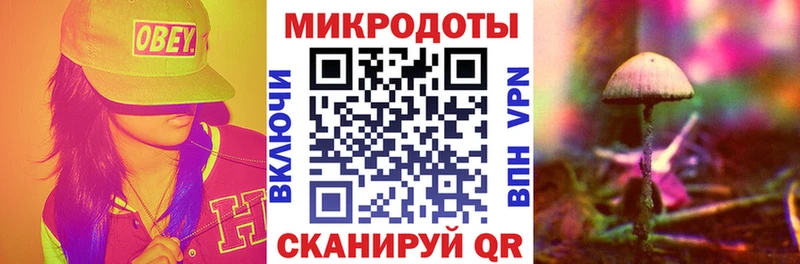 Псилоцибиновые грибы Psilocybine cubensis  Николаевск 